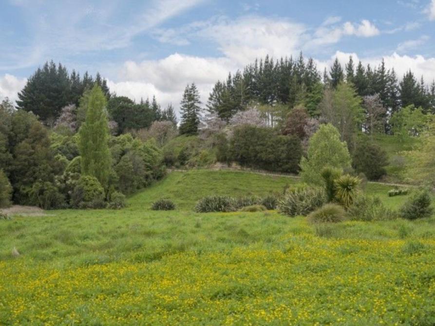 Above The River Karapiro Bed & Breakfast Buitenkant foto